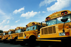 row of school buses