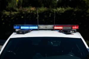 police car with lights on in front of bushes