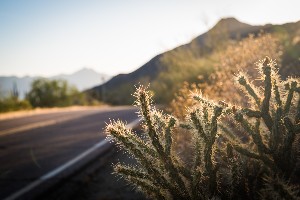 south mountain regional park - location of rollover crash